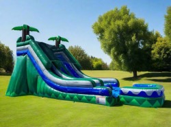 Screenshot 20250409 160845 Chrome 1744256248 18ft Dual Lane Tropical Slide (200 lbs max weight capacity)