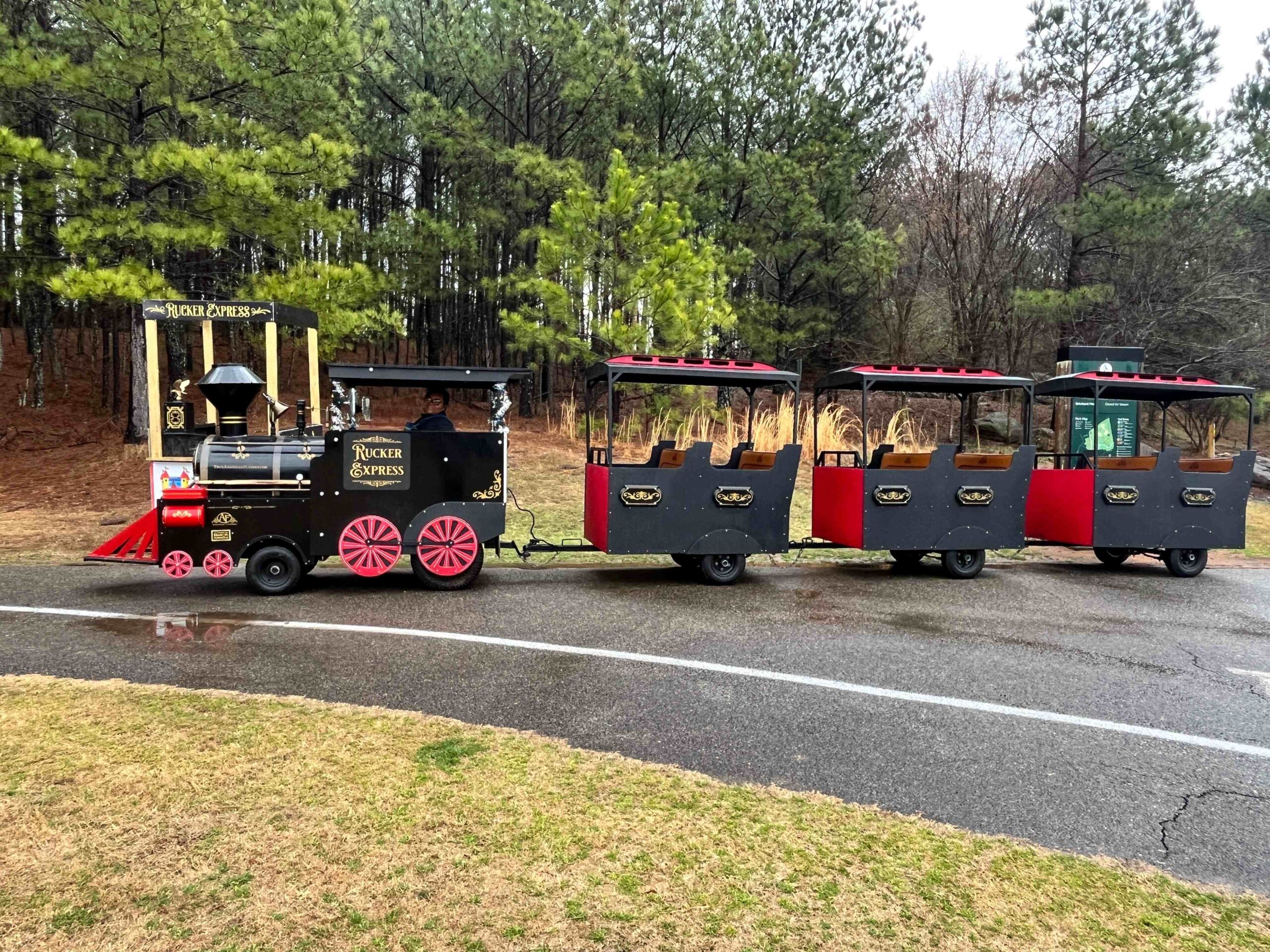 Pirate Revenge Carnival Ride